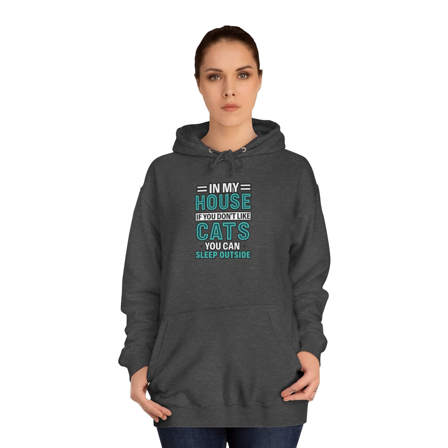 Humorous Cat Lovers Hoodie, Cozy Gift for Cat Owners, Funny College Sweatshirt, Birthday Present, Pet Lover Apparel, Indoor Relaxation