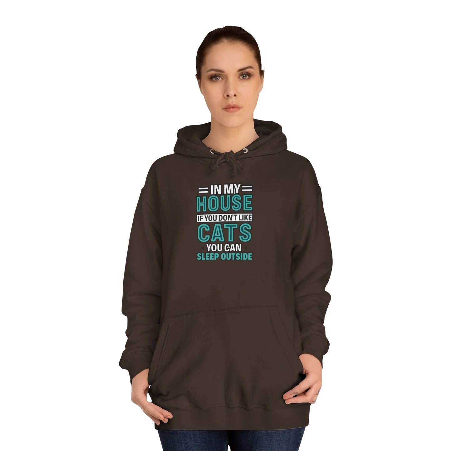 Humorous Cat Lovers Hoodie, Cozy Gift for Cat Owners, Funny College Sweatshirt, Birthday Present, Pet Lover Apparel, Indoor Relaxation