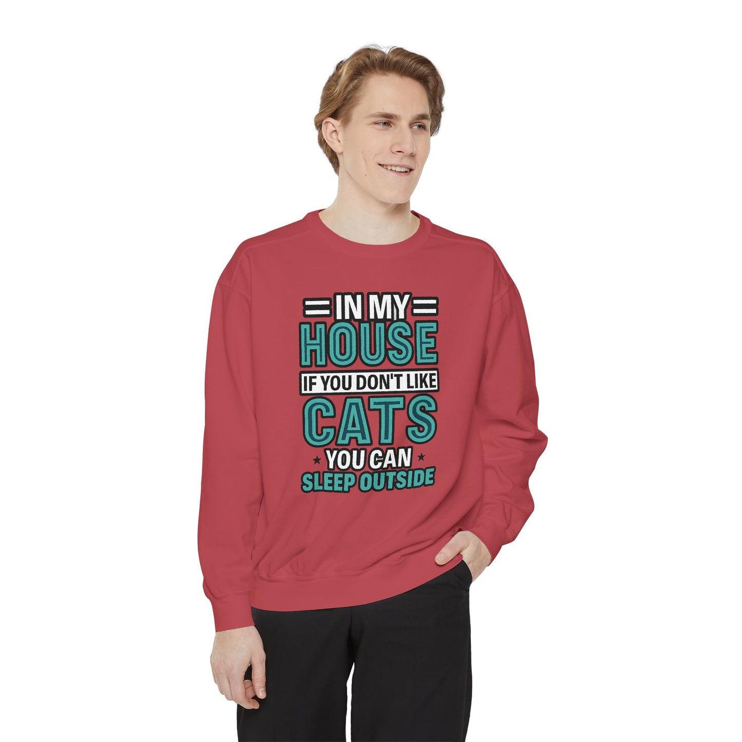 Funny Cat Lover Sweatshirt, Unisex Pullover for Pet Owners, Cozy Gift for Cat Lovers, Housewarming, Birthday, Casual Wear