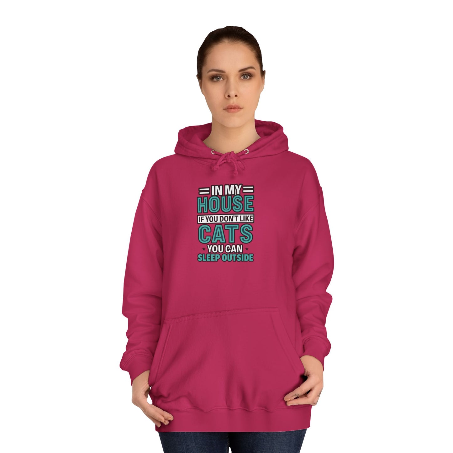 Humorous Cat Lovers Hoodie, Cozy Gift for Cat Owners, Funny College Sweatshirt, Birthday Present, Pet Lover Apparel, Indoor Relaxation