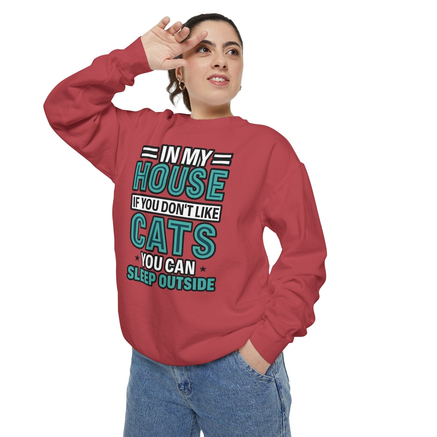 Funny Cat Lover Sweatshirt, Unisex Pullover for Pet Owners, Cozy Gift for Cat Lovers, Housewarming, Birthday, Casual Wear