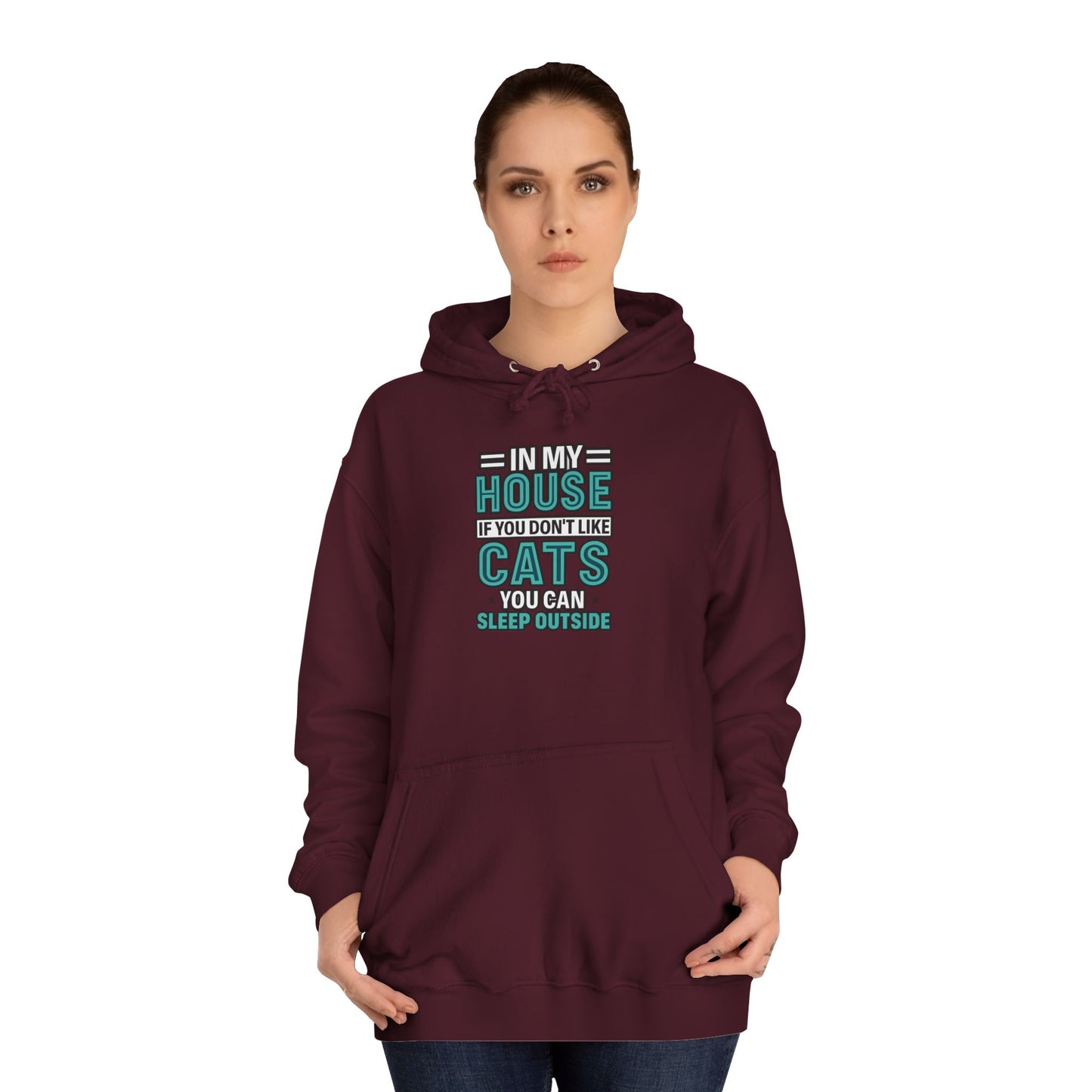 Humorous Cat Lovers Hoodie, Cozy Gift for Cat Owners, Funny College Sweatshirt, Birthday Present, Pet Lover Apparel, Indoor Relaxation